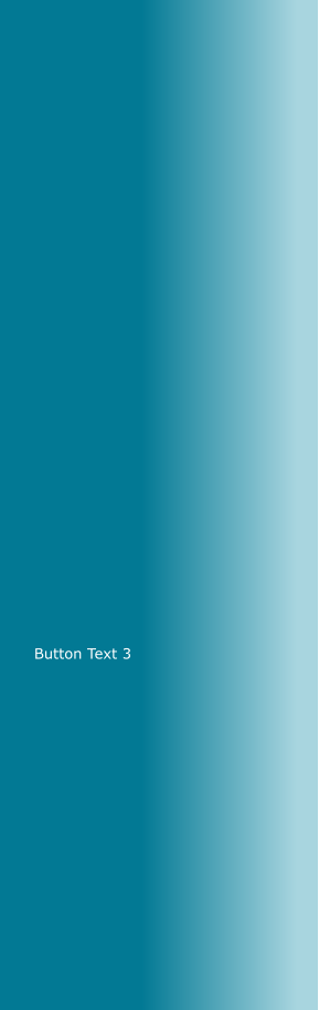 Button Text 3