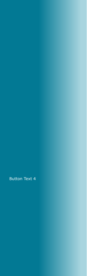 Button Text 4