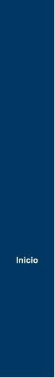 Inicio