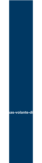 Prensas-volante-directo