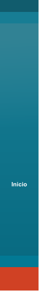 Inicio