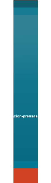 Adecuacion-prensas-rd1215